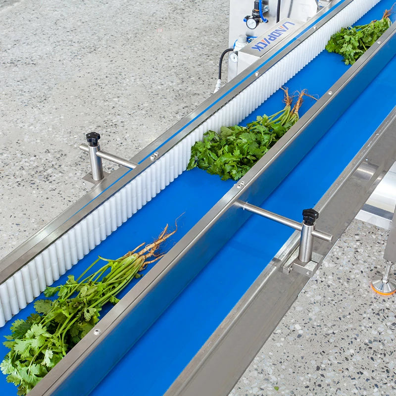 Automatic Fresh Vegetables and Fruits Flow Packaging Machine for Pillow Bag