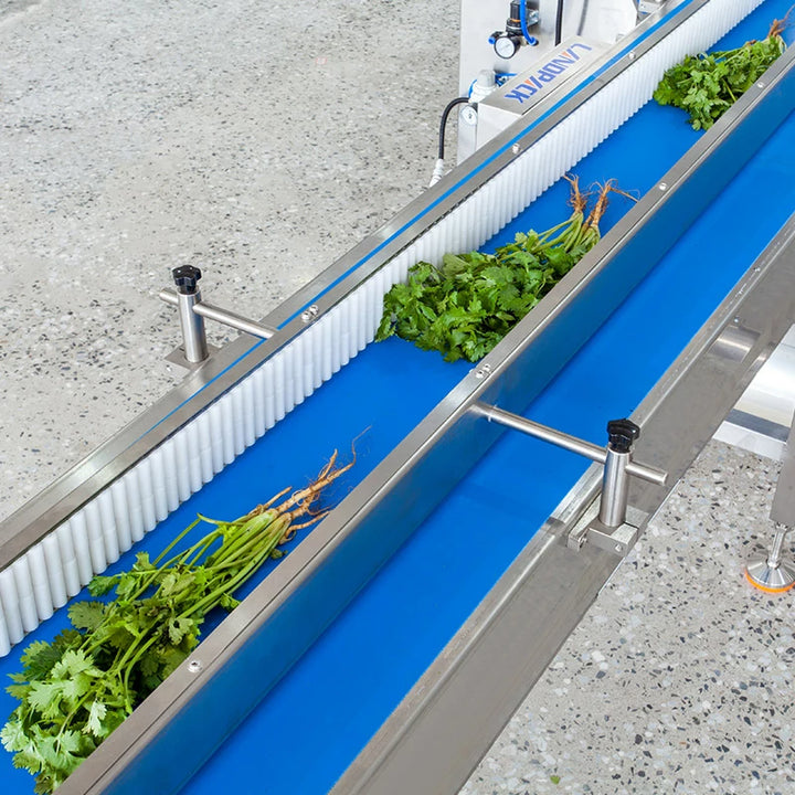 Automatic Fresh Vegetables and Fruits Flow Packaging Machine for Pillow Bag