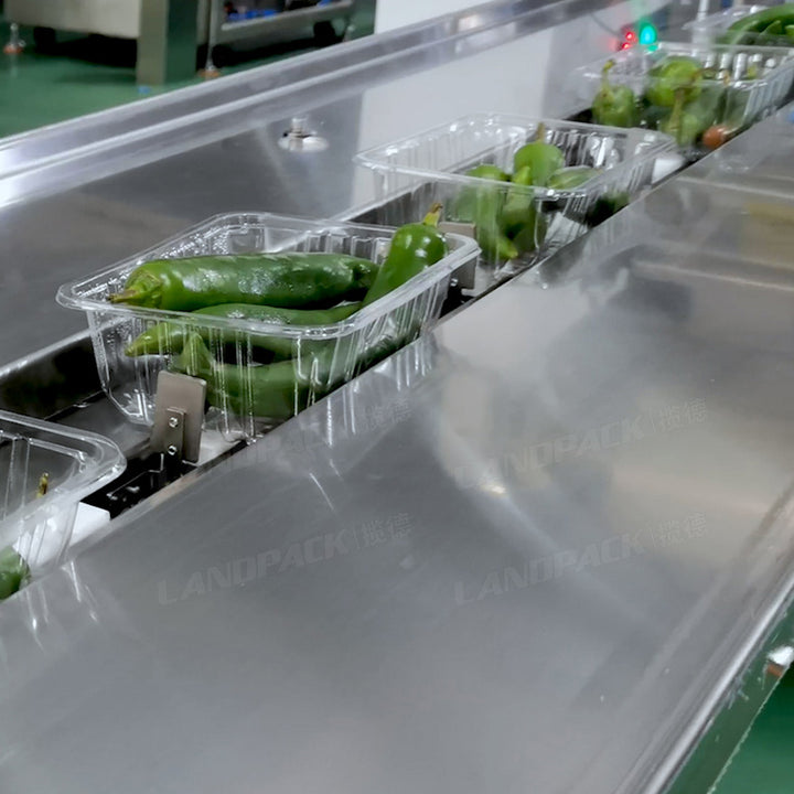 Horizontal Vegetable Fruit Pepper In Tray Packing Machine Flow Wrapping Machine