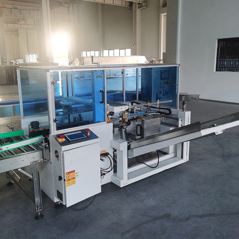 Automatic Delta Robot Case Packing System With Robotic Palletizer