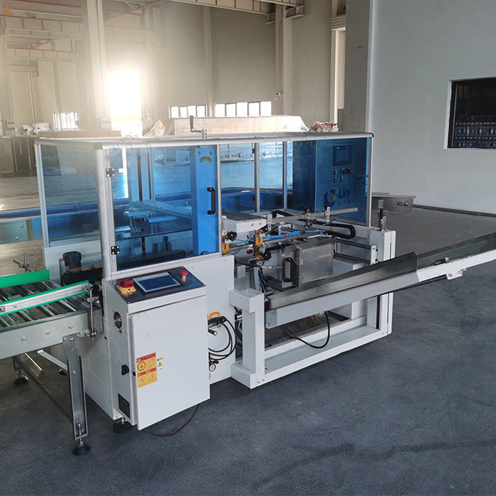 Automatic Delta Robot Case Packing System With Robotic Palletizer