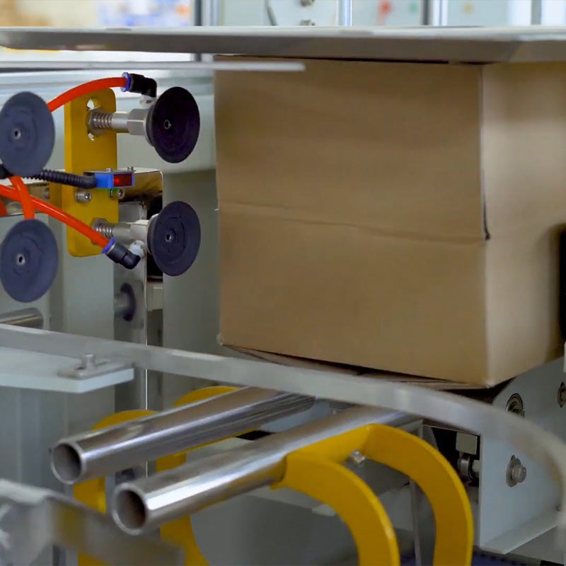 Case Packing Robot & Palletizer Machine Packing System