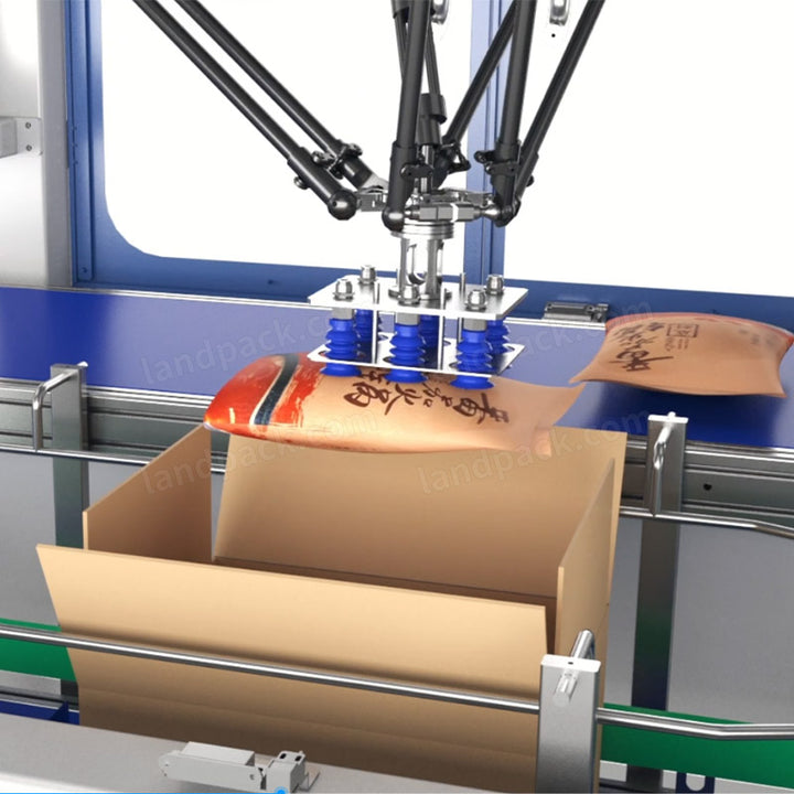 Automatic Packing System (Pouch Packing Machine+Parallel Robot Carton Packer+Palletizing System)