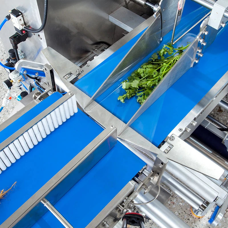 Automatic Fresh Vegetables and Fruits Flow Packaging Machine for Pillow Bag