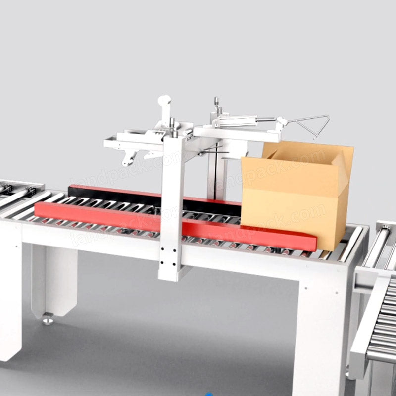 Automatic Packing System (Pouch Packing Machine+Parallel Robot Carton Packer+Palletizing System)
