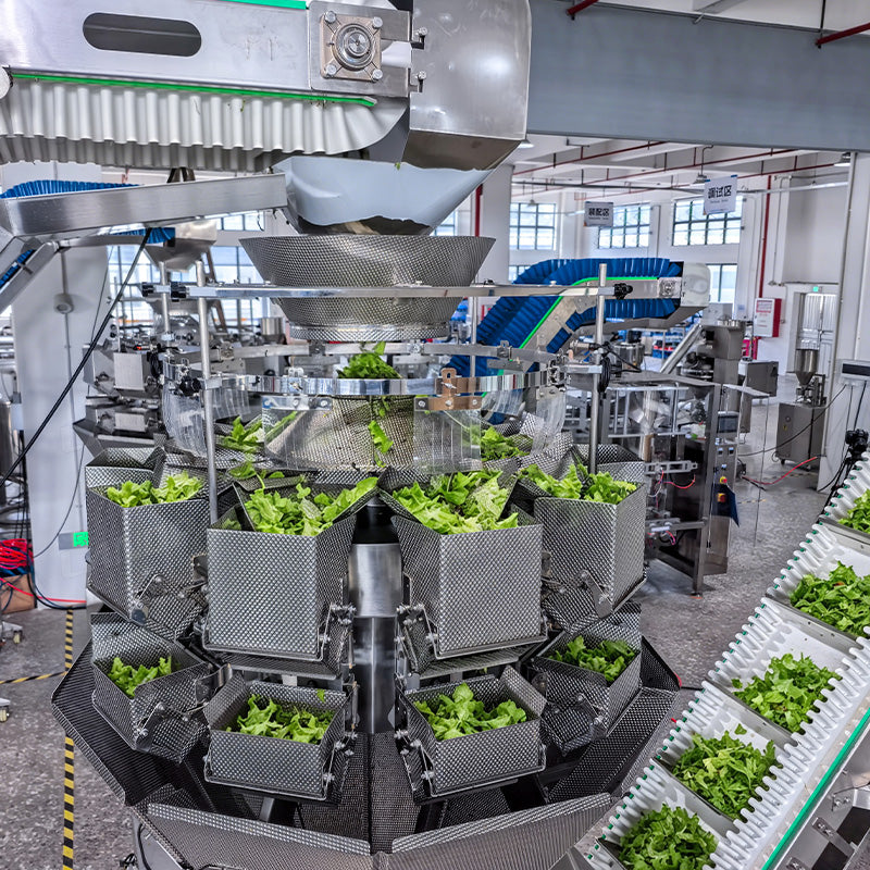 Automatic Lettuce Packaging Machine With Multihead Weigher And Two Conveyor