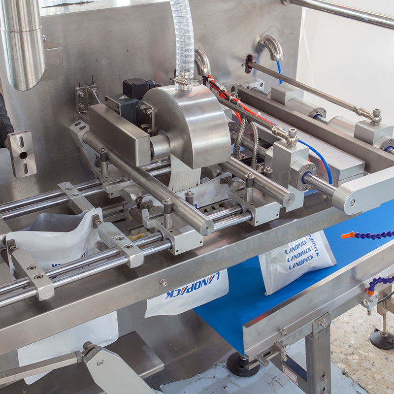 Automated Horizontal Premade Pouch Packaging Line With Case Packer