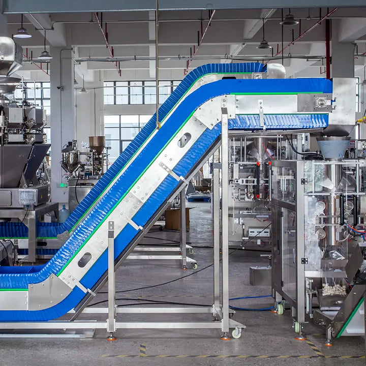 Automatic Frozen Food Meatball Packing Machine with Multihead Weigher and Checkweigher