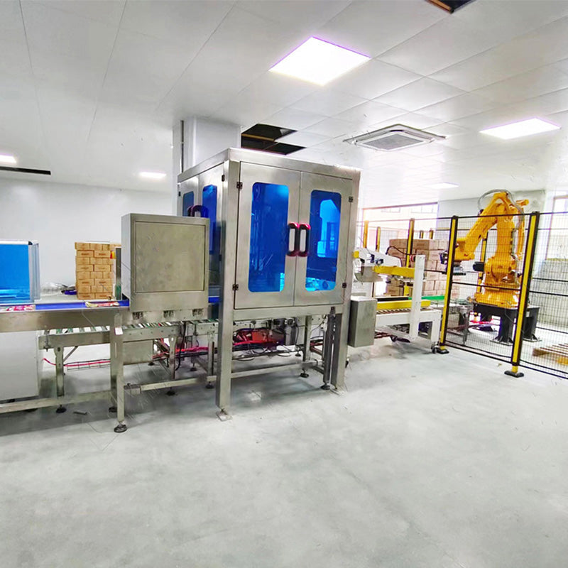 Automatic Delta Robot Case Packing System With Robotic Palletizer