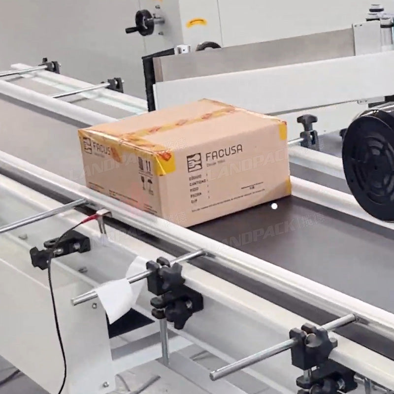 Automatic Case Packing System Case Erector Sealing Taping Packing Lines