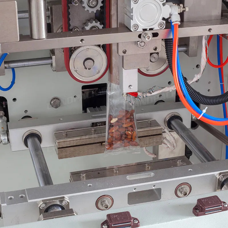 Automatic Cashew Nuts Packing Machine With Metal Detector And Laser Coder