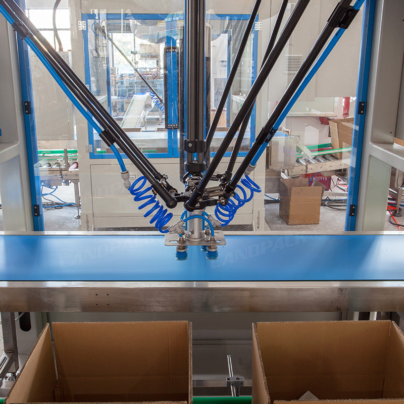 Granule Bagging Cartoning Palletising System | Automatic Horizontal Pouch Packing System