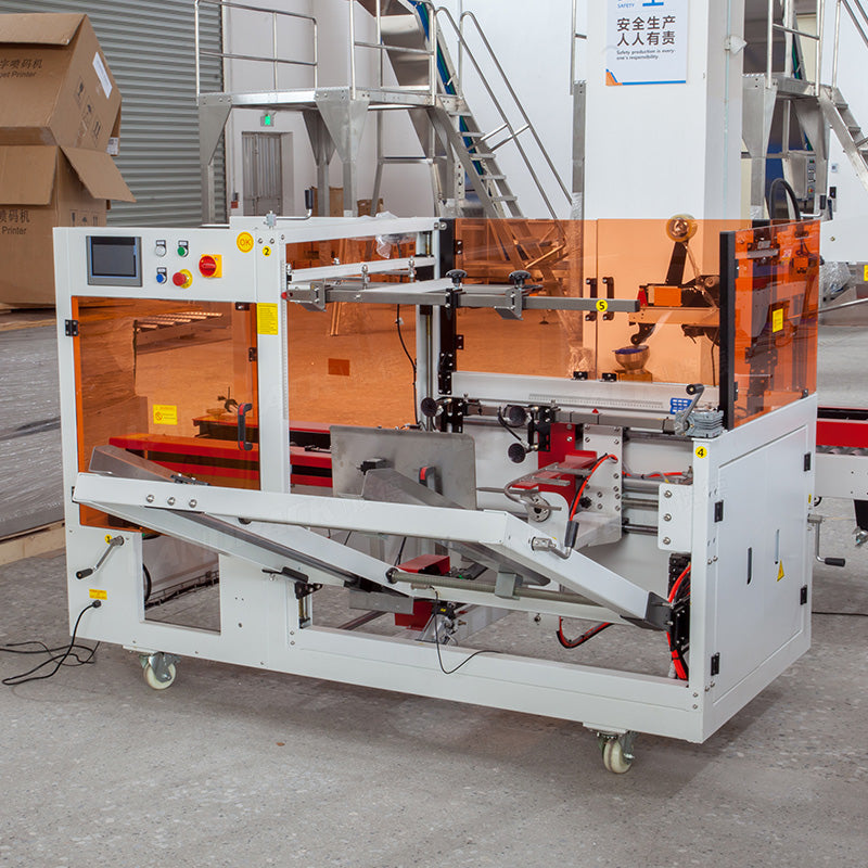 Automated Horizontal Premade Pouch Packaging Line With Case Packer