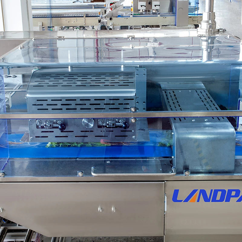 Automatic Fresh Vegetables and Fruits Flow Packaging Machine for Pillow Bag