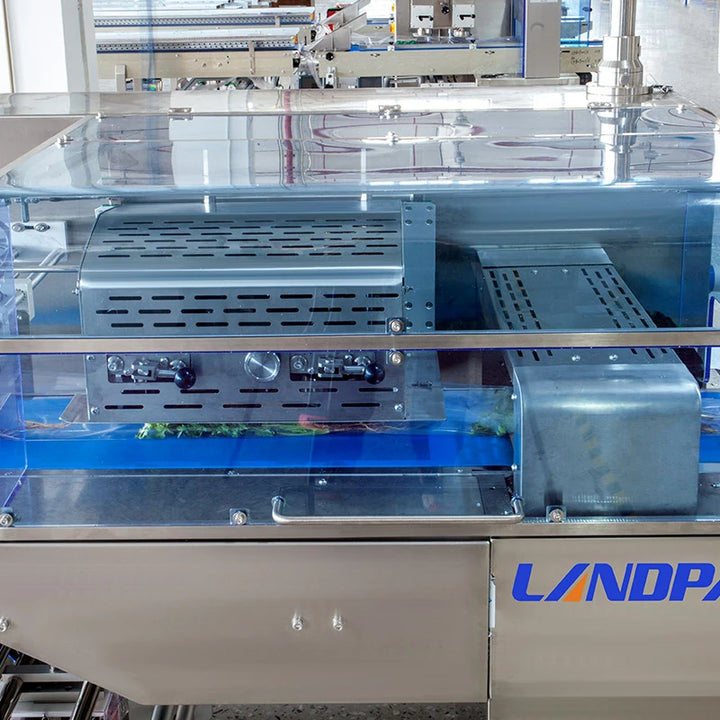 Automatic Fresh Vegetables and Fruits Flow Packaging Machine for Pillow Bag