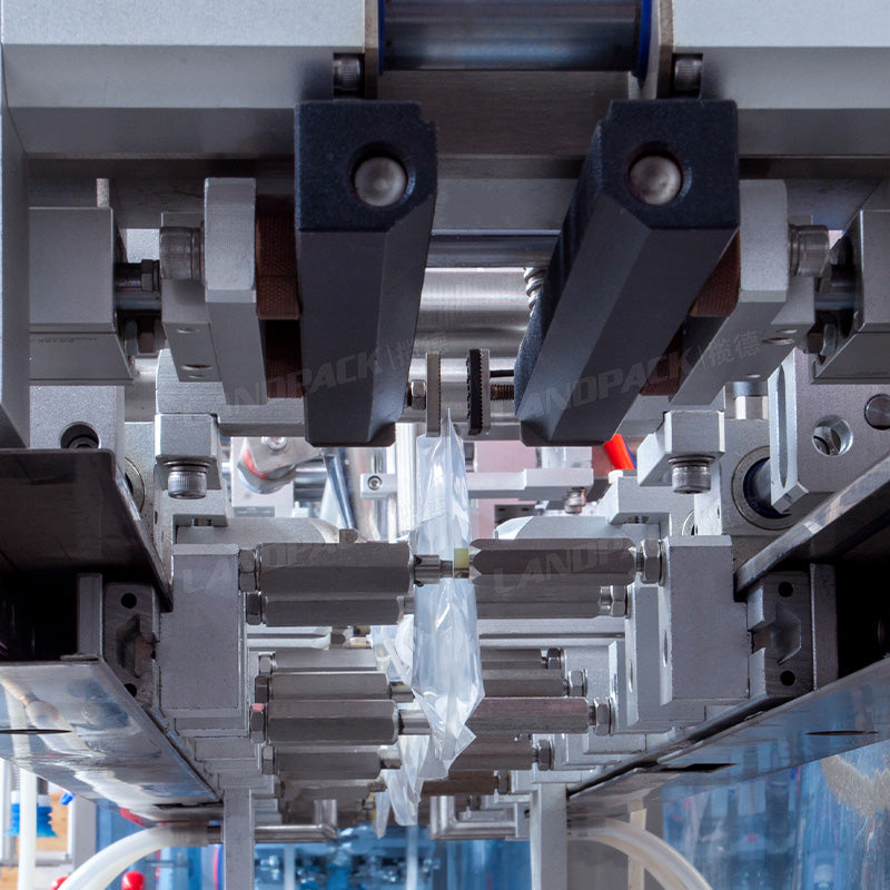 Automatic Beef Jerky Horizontal Pouch Packing Machine