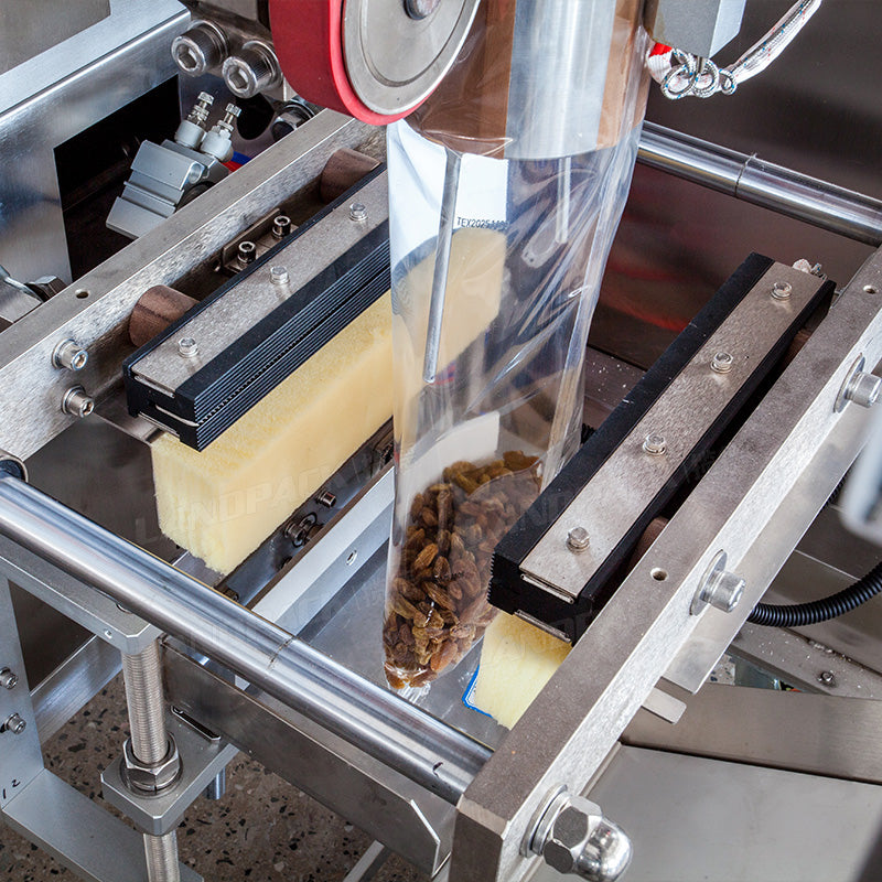 Dry Fruit Packing Machine | Automatic Raisin Vffs Packaging Machine