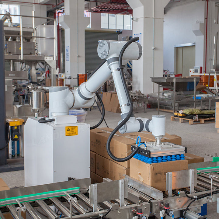 Granule Bagging Cartoning Palletising System | Automatic Horizontal Pouch Packing System