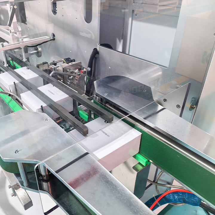 Automatic Bag Counting Cartoning Packing System