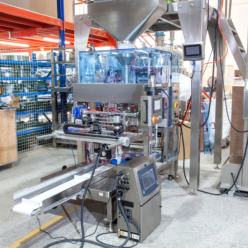 Automatic 2-Head Linear Weigher Grain Mini Doypack Premade Pouch Packing Machine