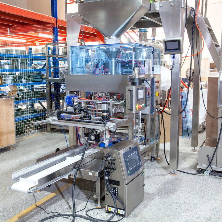 Automatic 2-Head Linear Weigher Grain Mini Doypack Premade Pouch Packing Machine