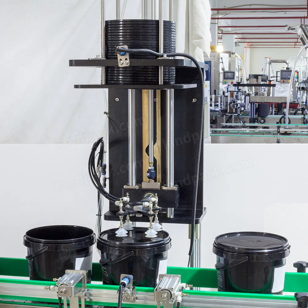 Automatic 2 Heads Linear Weigher Fertilizer Filling Capping Machine Line