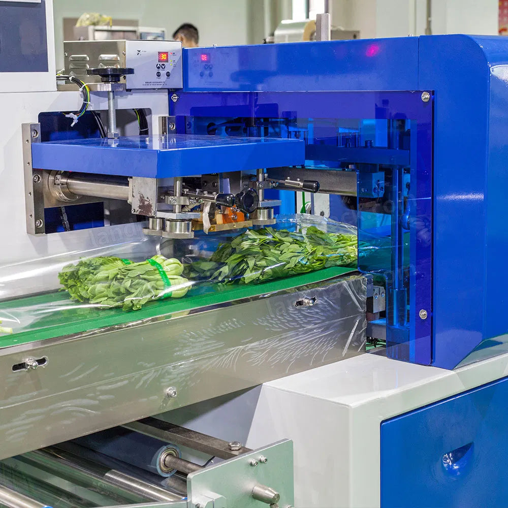 Pumching Machine Packing Automatic Horizontal Vegetable Flow Pack Machine with Hole‑Punching ...