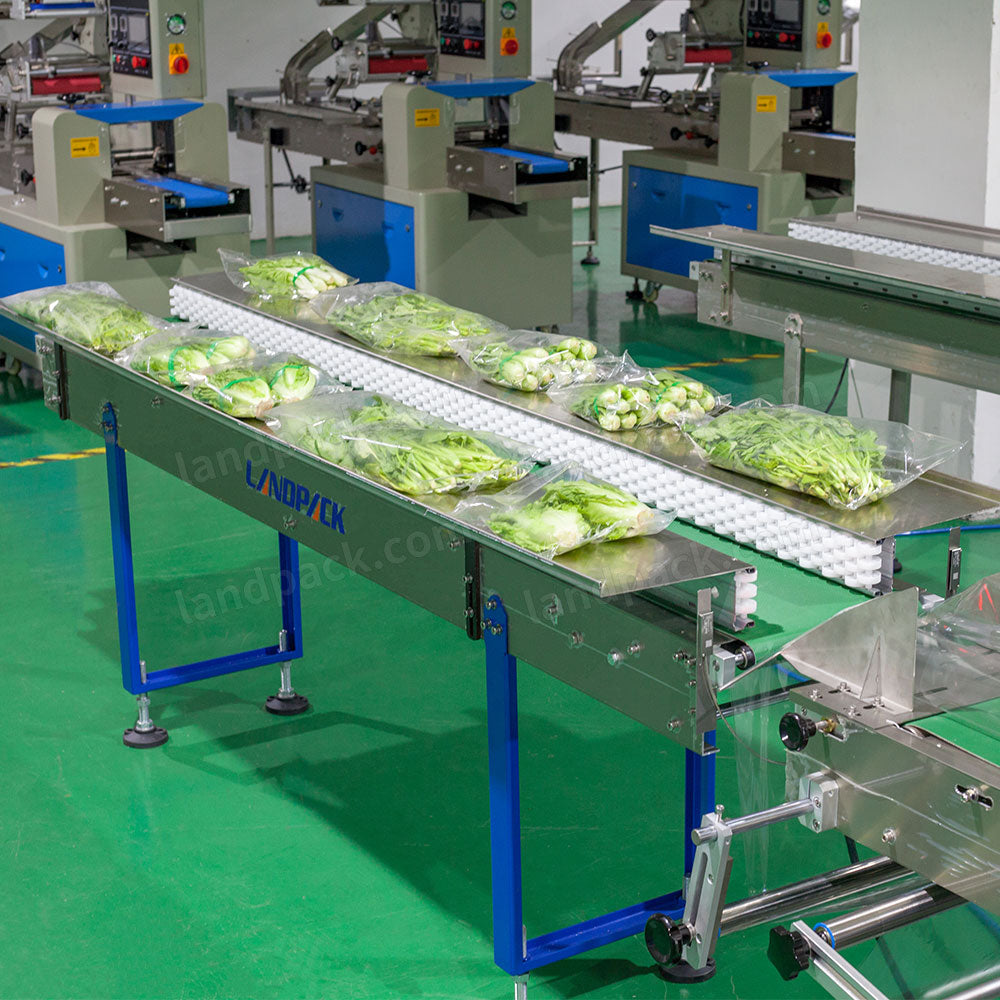 Automatic Horizontal Vegetable Flow Pack Machine with Hole‑Punching