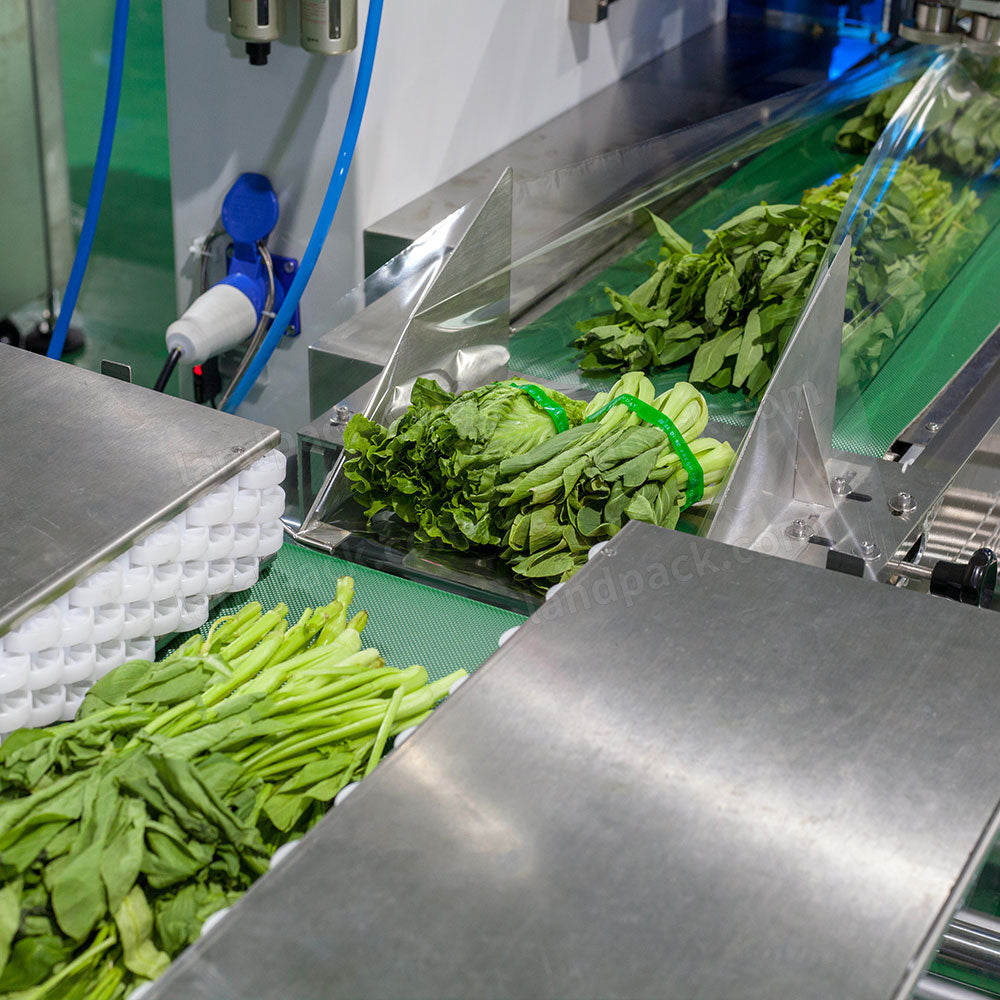 Pumching Machine Packing Automatic Horizontal Vegetable Flow Pack Machine with Hole‑Punching ...