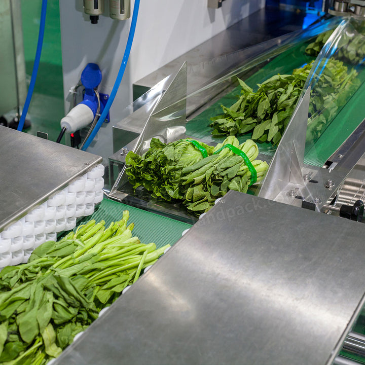 Automatic Horizontal Vegetable Flow Pack Machine with Hole‑Punching