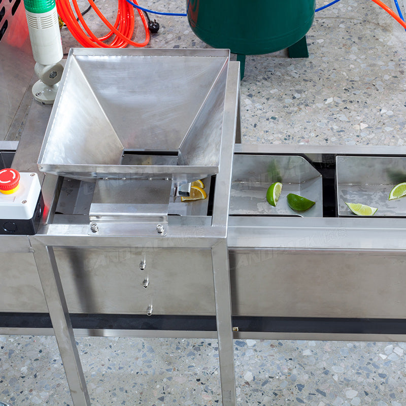 Automatic Slices Lemon Granule Horizontal Doypack Premade Pouch Filling Sealing Machine