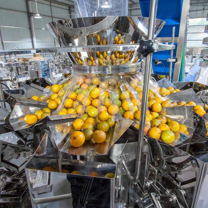 Automatic Orange Garlic Onion Potato Fruits Vegetable Mesh Bag Packing Machine