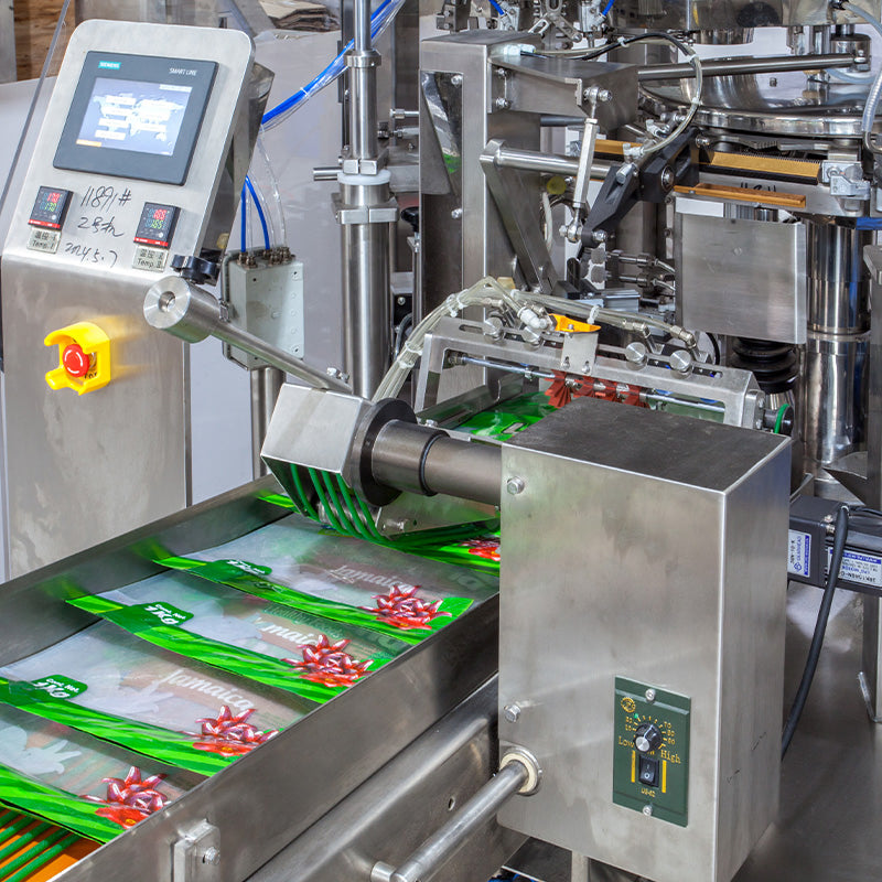rotary pouch filling machine
