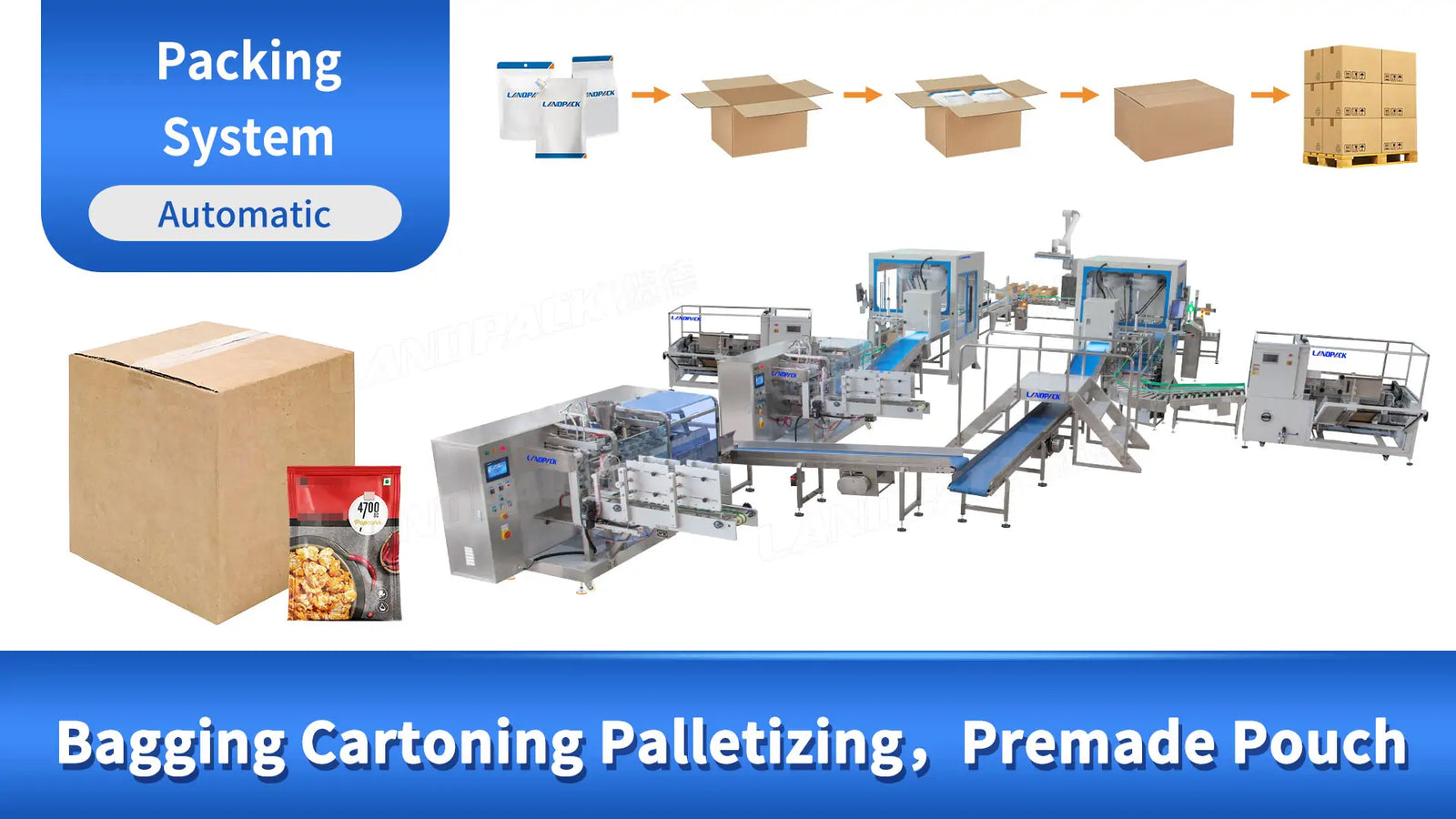 Complete Nut Packing System Overview