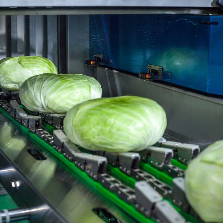 Automatic Iceberg Lettuce Packing Machine – High-Speed Vegetable & Fruit Cling Film Wrapper