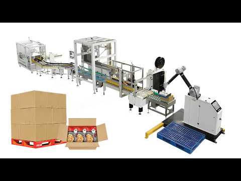 Automatic Cartoning and Case Packing System with Case Erector, Sealer and Delta Robot Palletizer