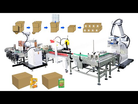 Automatic Robot Case Packer With Palletizing System