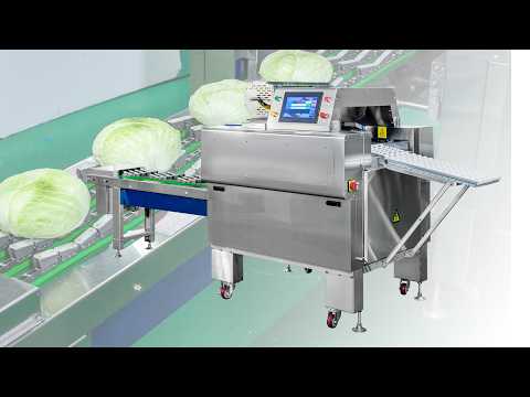 Automatic Iceberg Lettuce Packing Machine – High-Speed Vegetable & Fruit Cling Film Wrapper