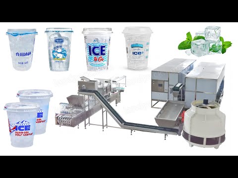 Fully Automatic Ice Cube Cup Filling and Sealing Packing Machine Production Line