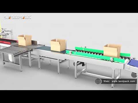 Automatic Packing System (Pouch Packing Machine+Parallel Robot Carton Packer+Palletizing System)
