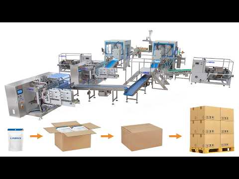 Granule Bagging Cartoning Palletising System | Automatic Horizontal Pouch Packing System