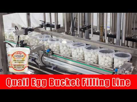 Automatic Quail Egg Pickled Buckets Filling Capping Labeling Machine