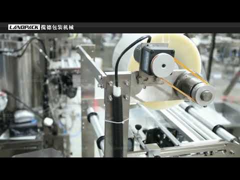 Semi-Automatic Packing Machine With Chain-type Batchers for Beef Jerky