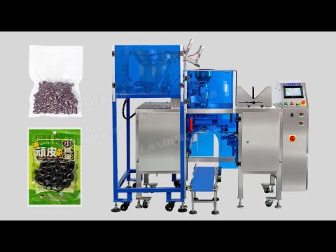 Automatic Granule Vacuum Mini Doypack Packing Machine With Vibrating Feeder