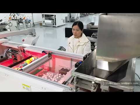 High Precision Fastener Plastic Hardware Visual Counting Packing Machine