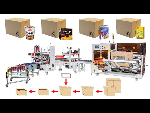 Fully Automatic Carton Case Packing System With Heat Shrinking Machine
